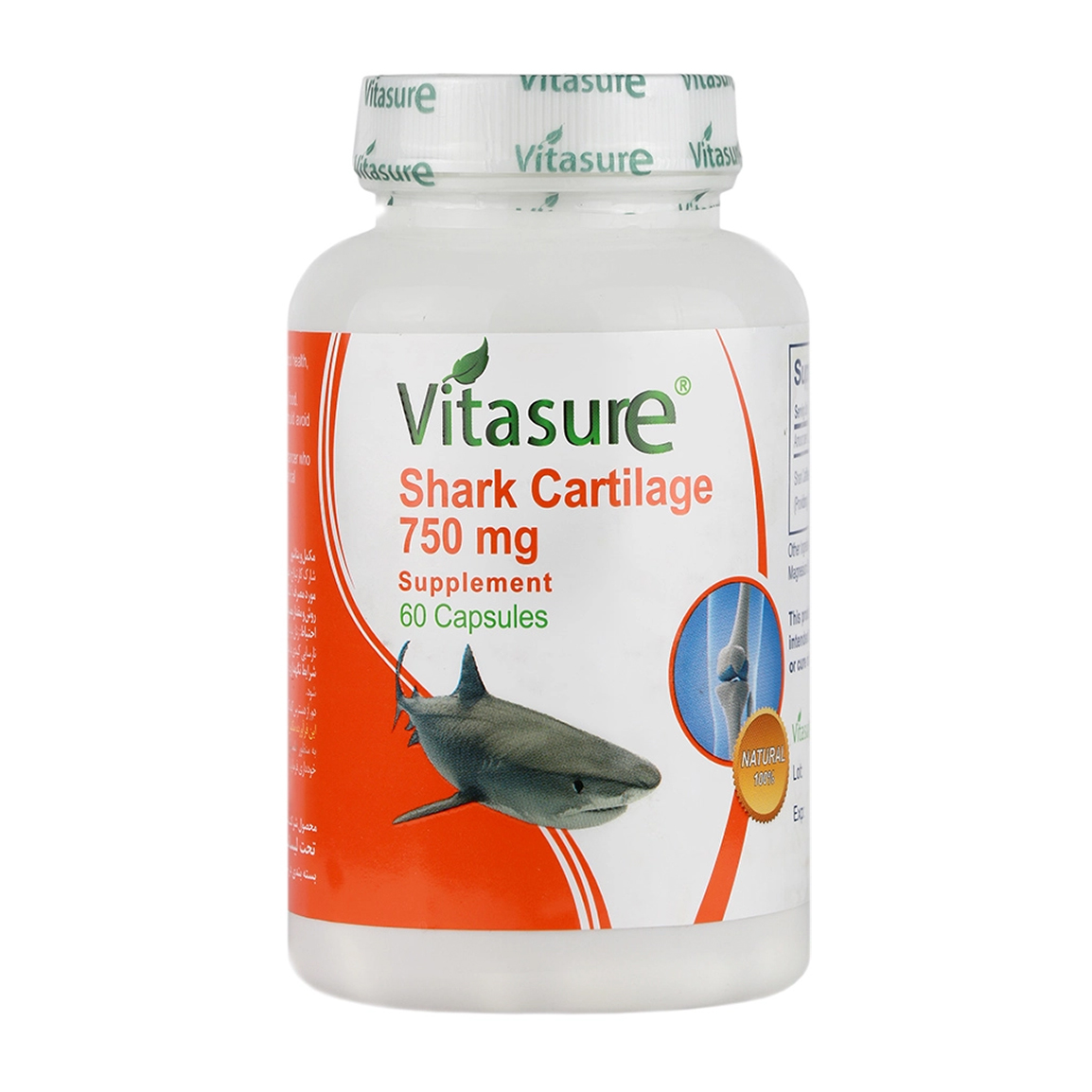 کپسول Shark Cartilage (غضروف کوسه) - بسته 60 عددی